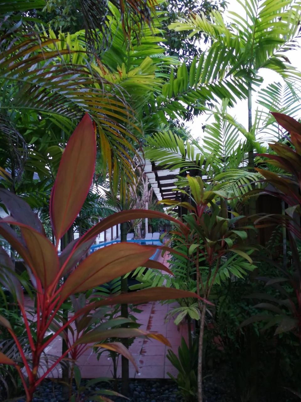 Tropical Resort Langkawi Exterior foto